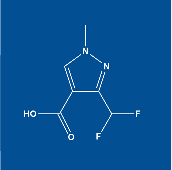3-Difluoromethyl)-1-Methyl-1h-Pyrazole-4-Carboxylic Acid